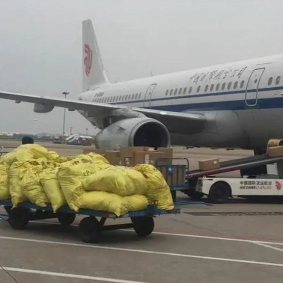 Πτήσεις από τη Σαγκάη στην Αυστραλία Door to Door FCL Shipping Agency Ups Ddp Service