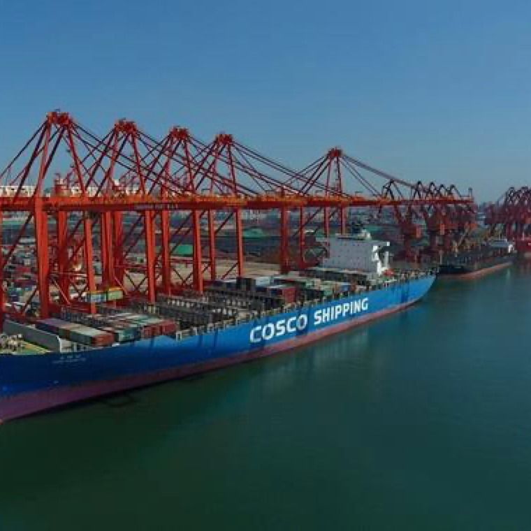 3c σφαιρική στέλνοντας κεντρική FOB LCL θάλασσα Κίνα πτώσης στην Ιορδανία αποστολέας φορτίου Exw 3 ημερών